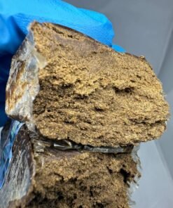 Bulldog Amsterdam Hash