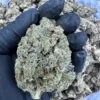 Apple Fritter Strain