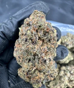 Ice Cream Cake Strain