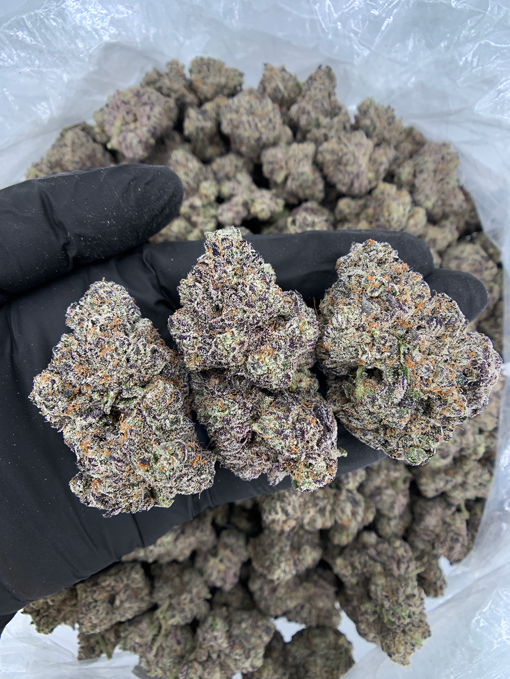 zoza-wizard-trees-dc-va-richmond-md-weed-delivery-01